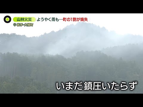 【ようやく雨も】岩手・山林火災6日目　町の1割近く焼失　専門家“この雨が消火活動のカギに” サムネイル
