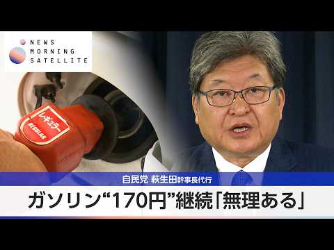 ガソリン“170円”継続「無理ある」 自民党 萩生田幹事長代行【モーサテ】 サムネイル