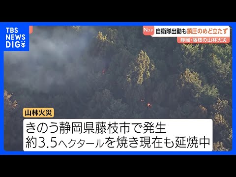 自衛隊の大型ヘリコプター2機出動も鎮圧のめど立たず　静岡・藤枝の山林火災｜TBS NEWS DIG サムネイル