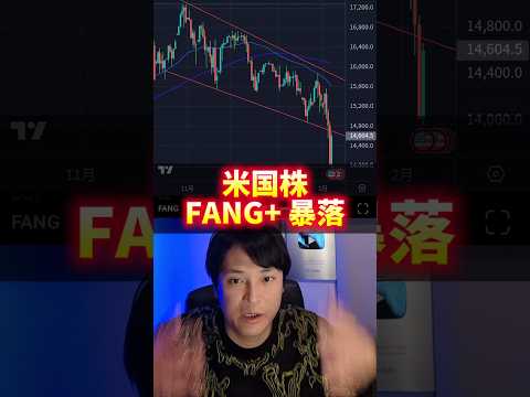 米国株 FANG+が大暴落！ヤバイ理由！ サムネイル