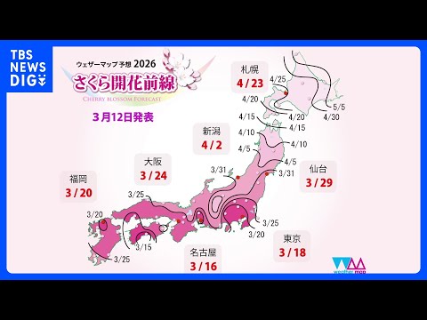 きょう15日（日）にもさくら開花か　高知からさくら前線スタート予想　日中は広範囲で穏やかな春の日に【きょうの天気】｜T… サムネイル