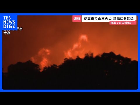 「焦げ臭いなと思ったら炎がバーッと上がった」大阪・梅田の繁華街や静岡・伊豆の山林…全国で火災相次ぐ　全国的に空気乾燥に… サムネイル