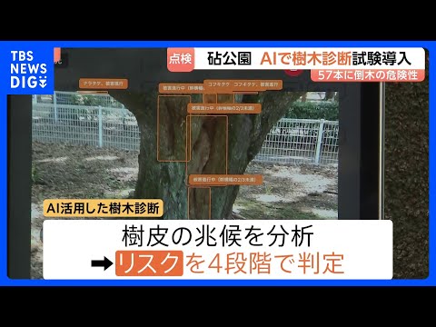立ち入り制限も…倒木相次ぐ東京・砧公園でAI活用した樹木診断を試験的に開始　AI活用の目的は「効率化やスピードアップ」… サムネイル