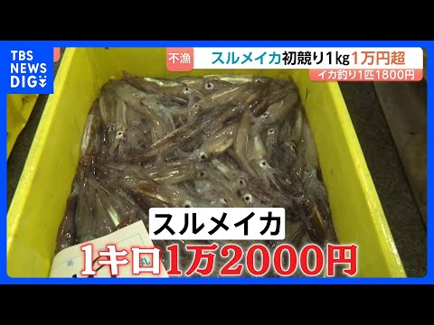 スルメイカ初競り1kg1万2000円！ 令和で最高値“庶民の味”が高級品に｜TBS NEWS DIG サムネイル