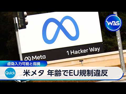 米メタ 年齢でEU規制違反 虚偽入力可能と指摘【WBS】 サムネイル