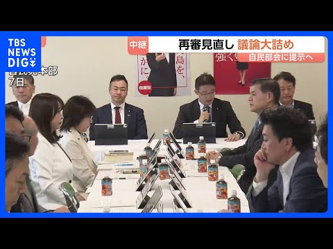 再審制度見直しめぐる改正案　法務省が検察官抗告「原則禁止」を本則に盛り込んだ修正案提示へ　自民党はきょう法案了承したい… サムネイル