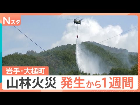 岩手・大槌町の山林火災　発生から1週間「火の勢いは概ね制御下」町に連日の雨　子どもたちを支援する“遊び場”も登場【Nス… サムネイル