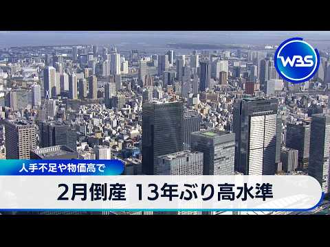 2月倒産 13年ぶり高水準 人手不足や物価高で【WBS】 サムネイル