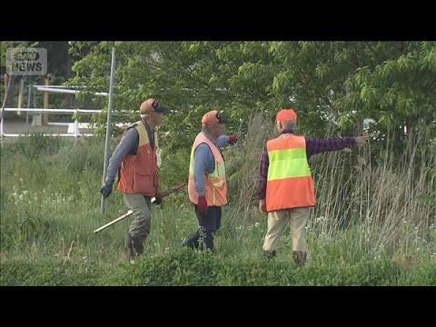 岩手や宮城でクマ目撃相次ぐ　盛岡市では一時“緊急銃猟”(2026年5月15日) サムネイル