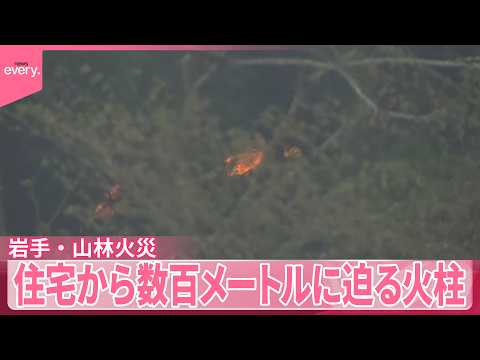 【岩手･山林火災】住宅から数百メートルに迫る火柱  自宅前に水をまく様子も サムネイル