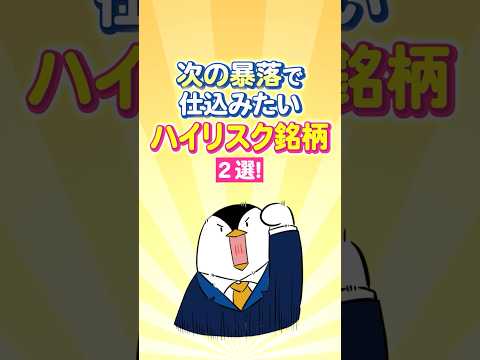 【保存版】次の暴落で仕込みたいハイリスク銘柄２選！