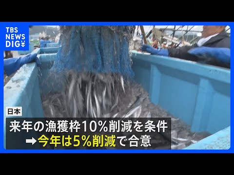 今年のサンマの漁獲枠5%削減で合意　日本が求める10%削減は適用されず｜TBS NEWS DIG サムネイル