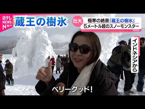 【絶景】外国人にも人気の"スノーモンスター" 蔵王の樹氷ツアー　宮城　NNNセレクション