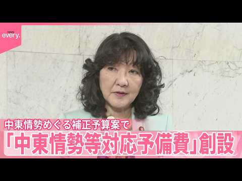 【中東情勢等対応予備費】中東情勢めぐる補正予算案で新たに創設 サムネイル