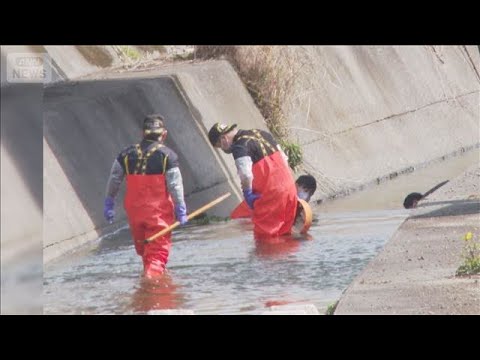 首に“裂けた傷”　川で発見の男性死亡　大分市【スーパーJチャンネル】(2026年3月20日)