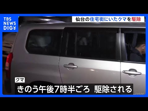 住宅街にいたクマ、緊急銃猟し駆除 けが人なし　仙台市中心部近く｜TBS NEWS DIG サムネイル