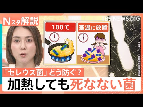 “チャーハン症候群”にご注意！ においや味で見分け困難…熱に強い食中毒菌 対策は？【Nスタ解説】｜TBS NEWS D… サムネイル