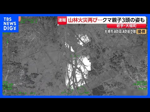 岩手・大槌町の山林火災　調査で3か所の熱源確認　周辺には特殊カメラで捉えた3頭のクマも｜TBS NEWS DIG サムネイル