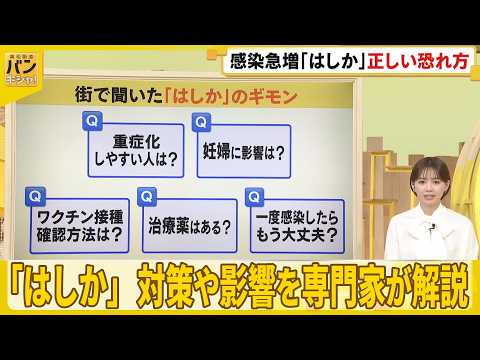 【解説】「はしか」異例の流行…「感染対策」や「妊婦への影響」は？  東邦大学・小林寅喆教授が解説『バンキシャ！』 サムネイル