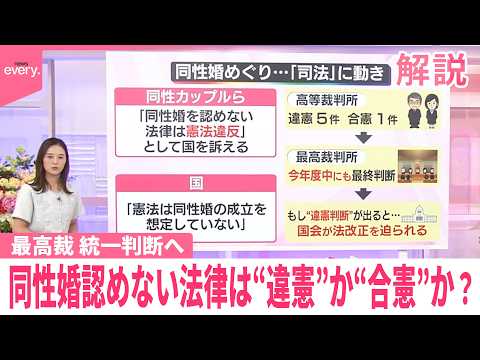 【解説】同性婚認めない法律は“違憲”か“合憲”か？　今年度中にも最高裁 統一判断へ　G7で唯一同性カップルの国レベルの… サムネイル