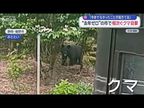 “去年ゼロ”の市で相次ぐクマ目撃　「今までなかったことが起きている」【スーパーJチャンネル】(2026年5月26日) サムネイル