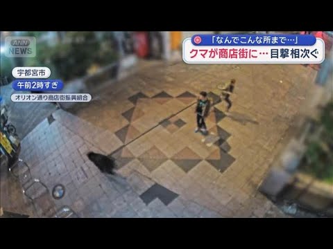 クマが商店街に 目撃相次ぐ「なんでこんな所まで…」　宇都宮市【スーパーJチャンネル】(2026年6月7日) サムネイル