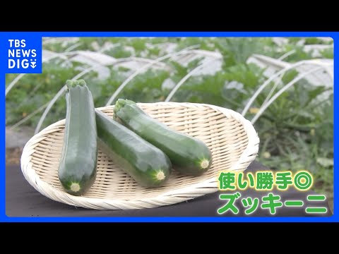 今が旬のズッキーニ！「安さ」「手軽さ」からいまや“国民食”にも？ プロが教える“美味しく食べるレシピ”とは｜TBS N… サムネイル