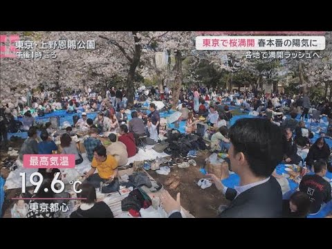 多様化する花見スタイル　利用4倍のレンタルスペースも　人気の理由は“四重苦”回避【サタデーステーション】(2026年3…