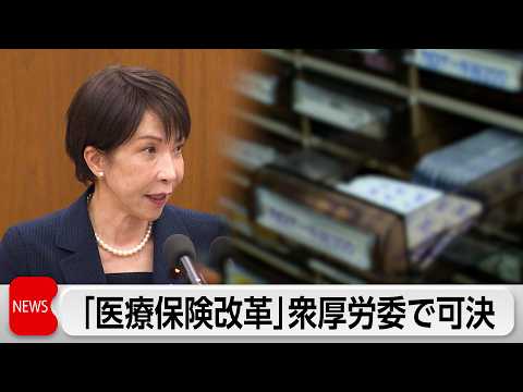 「現役世代の保険料率引き下げ」健康保険法改正案 衆院厚労委で可決 サムネイル