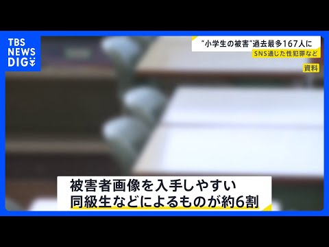 SNS通じて事件に巻き込まれた小学生が過去最多167人 「性的ディープフェイク」被害も114件…約6割は同級生などによ… サムネイル