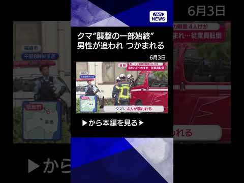 【ニュース】クマが追いかけ掴みかかる“襲撃の一部始終”工場に侵入4人けが shorts サムネイル