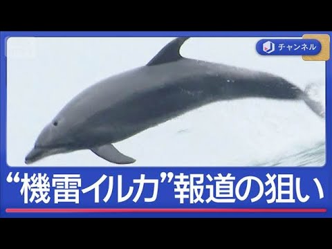“機雷イルカを検討”報道にイランが反論　何が…狙いは？【スーパーJチャンネル】(2026年5月4日) サムネイル