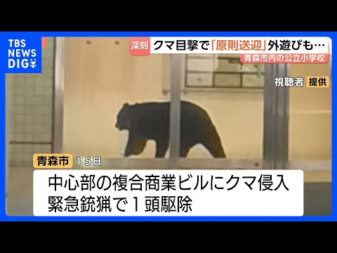 「子どもが遭遇しないか不安」15日に緊急銃猟で駆除もクマ目撃情報3日間で180件の青森市　6割の小中学校で保護者送迎を… サムネイル
