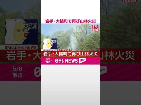 【速報】岩手・大槌町で再び山林火災  消防が消火活動  shorts サムネイル
