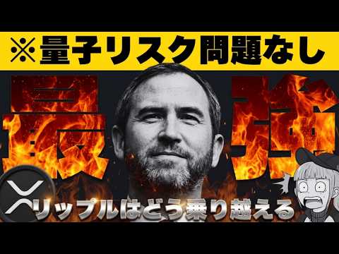 【※最大の危機！リップルは？】【ビットコイン盗み放題？】