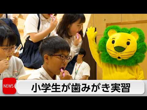 「全国小学生歯みがき大会」過去最多の約32万6000人が参加 サムネイル