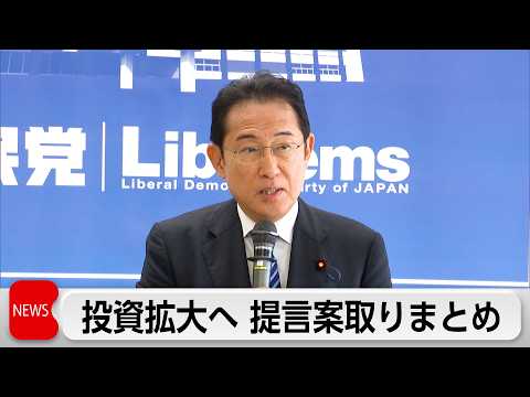 自民党　政府の「新たな投資枠」など国内投資拡大へ提言案とりまとめ サムネイル