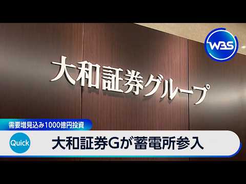 大和証券Gが蓄電所参入 需要増見込み1000億円投資【WBS】 サムネイル