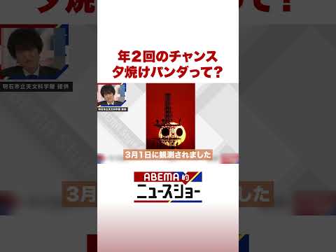 年2回のチャンス 夕焼けパンダって？ ABEMA的ニュースショー Shorts