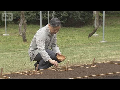 天皇陛下　稲の種もみをまかれる　恒例の「お手まき」(2026年4月9日)