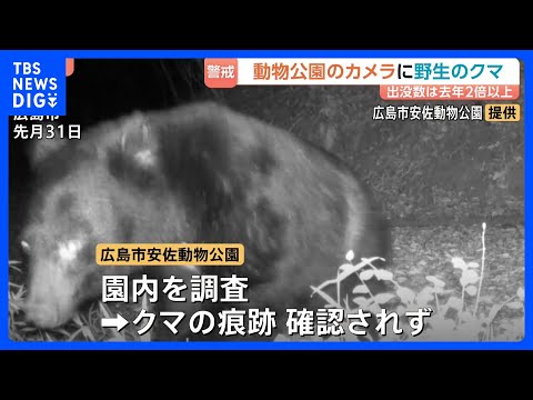 クマの出没件数 去年同月比2倍超！全国で目撃されるクマ！もし襲われたらどうすれば？被害にあった男性から聞く、身を守る術… サムネイル