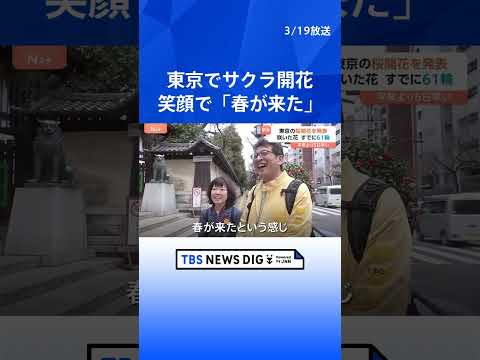 「暗いニュースが多いのでちょっと喜ばしい気持ち」東京の桜が開花　発表基準を上回る“61輪”　平年より5日早い｜TBS…