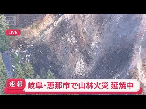 【速報】岐阜・恵那市で山林火災　延焼中　50代男性が手にやけど【スーパーJチャンネル】(2026年6月13日) サムネイル