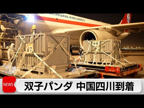 シャオシャオとレイレイが中国の研究センター到着 母姉も同施設に サムネイル