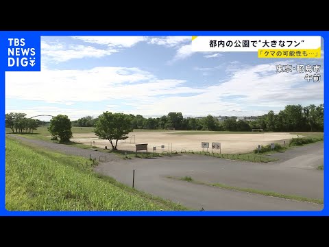 都内の公園で「大きなフン」 野生動物の専門家「クマの可能性も捨てきれない」JR立川駅から4キロほど離れた東京・昭島市の… サムネイル