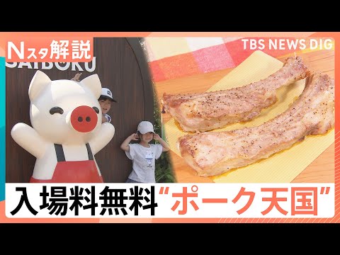 豚のテーマパーク「サイボク」は入場料無料でGW中大賑わい！　群馬には無料スポットが多数…なぜ？【Nスタ解説】｜TBS… サムネイル