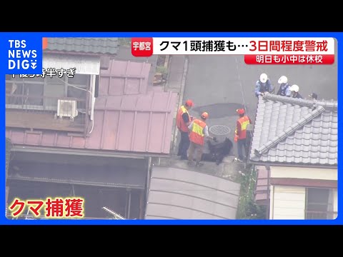 クマ1頭捕獲も“別のクマ出没の可能性” 宇都宮市は3日間程度 警戒続ける　市立小中学校あすも休校｜TBS NEWS D…