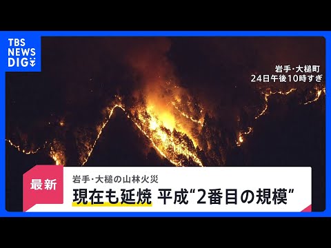 「全然寝られない」岩手・大槌の山林火災　延焼続き平成以降“２番目の規模”に　牛舎が燃えた畜産家は牛残せぬ苦悩も【new… サムネイル