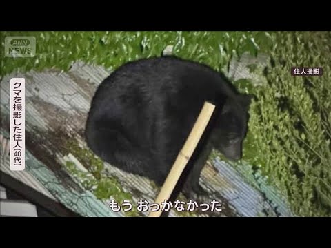 飼い主証言 クマがネコを「食べていた」 “屋根クマ”6時間半＆「子グマが飛んだ」(2026年5月24日) サムネイル