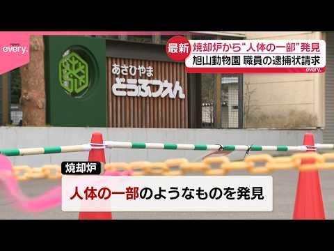 【旭山動物園】焼却炉から“人体の一部”発見  死体損壊容疑で30代男性職員に逮捕状請求 サムネイル